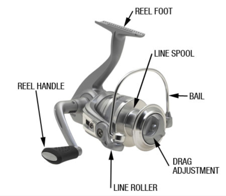 Reels где. Катушки Reel. Катушка рыболовная Sgallop 5000a. Катушки рыболовные на белом фоне. Рыболовная катушка прикол.